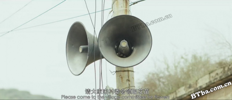 那人那事/That Person and Those Things