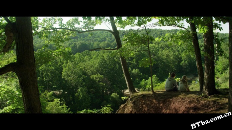 夏日之王/玩具之家/The Kings of Summer