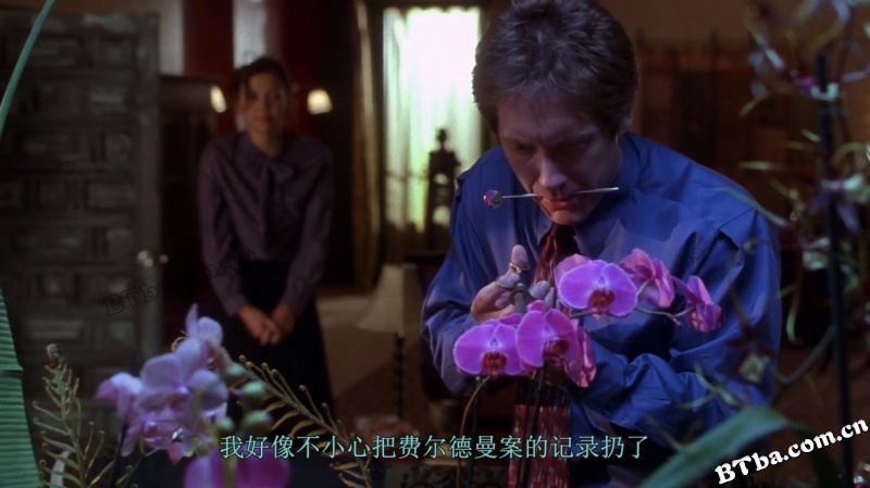 秘书/怪ㄎㄚ情缘/风流老板俏秘书/Secretary