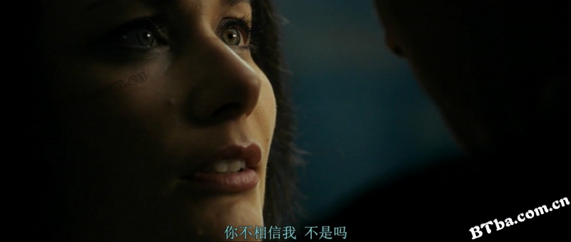 勃艮第公爵/公爵蝶恋花(港)/The Duke of Burgundy