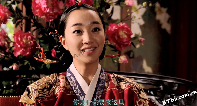 像火花像蝴蝶/像花火像蝴蝶/像烟花像蝴蝶(港)/불꽃처럼 나비처럼