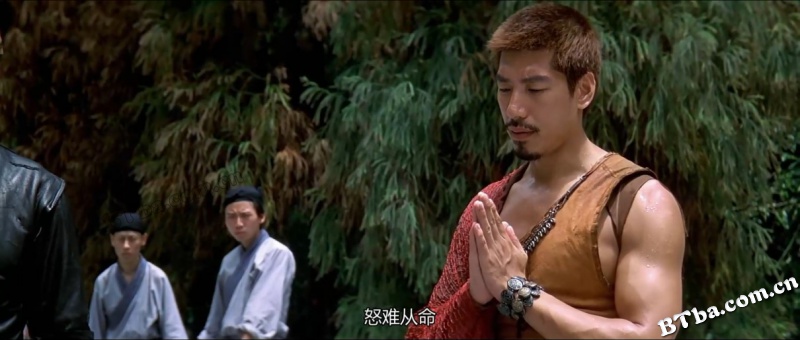 风云雄霸天下/The Storm Riders