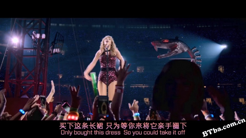 泰勒·斯威夫特：“举世盛名”巡回演唱会/Taylor Swift: Reputation Stadium Tour