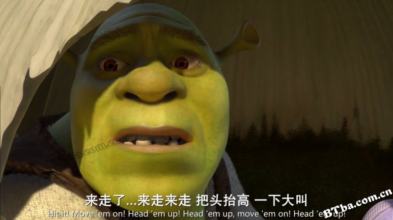 怪物史瑞克2/Shrek 2