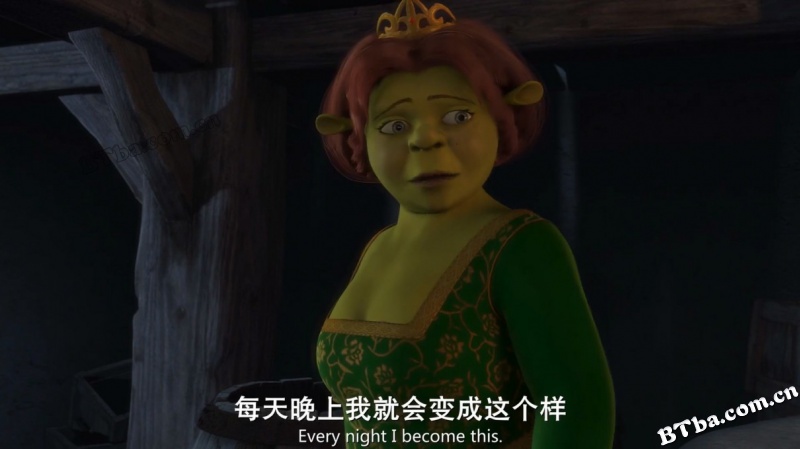 怪物史瑞克/怪物史莱克/史瑞克