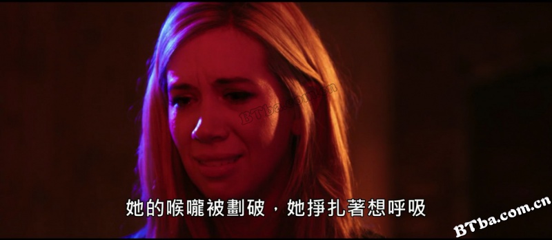 最后的尖叫/The Final Scream