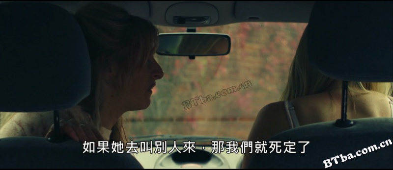 最后的尖叫/The Final Scream