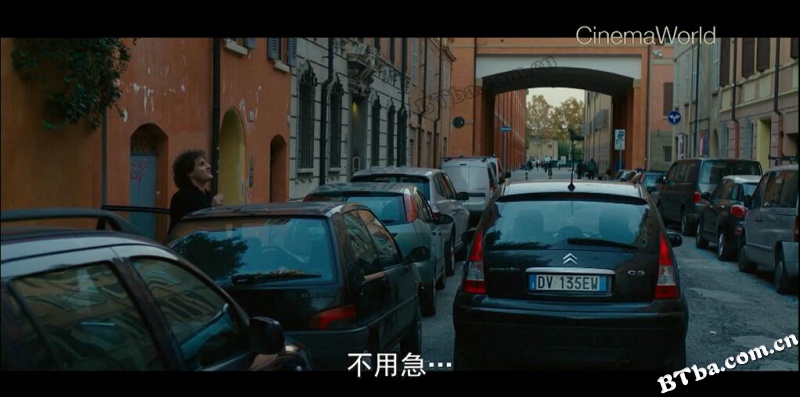 鲁蛇遇见爱/ci vuole un fisico
