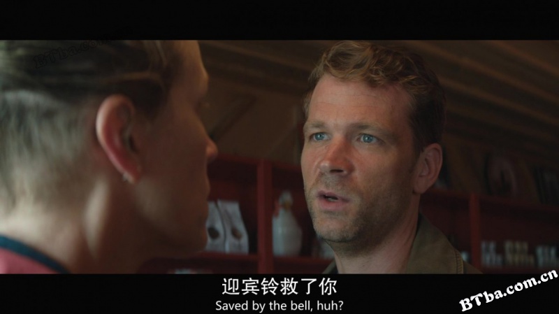 三块广告牌/意外(台)/广告牌杀人事件(港)/Three Billboards Outside Ebbing, Missouri