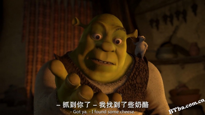 怪物史瑞克/怪物史莱克/史瑞克