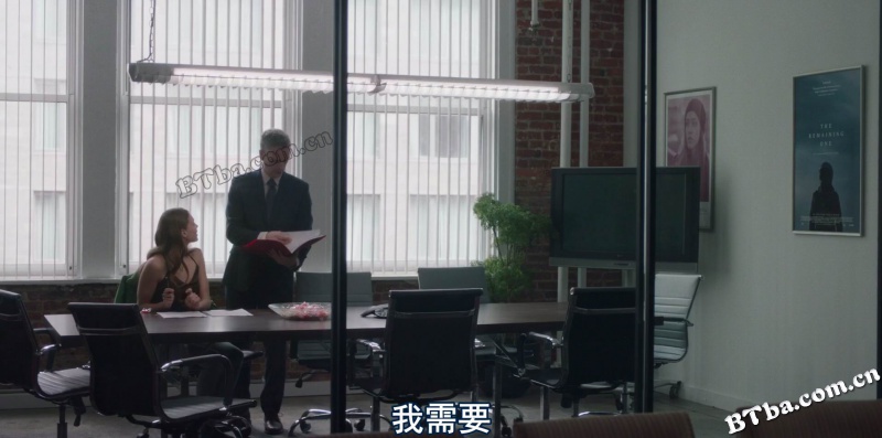 助理/女助理/The Assistant