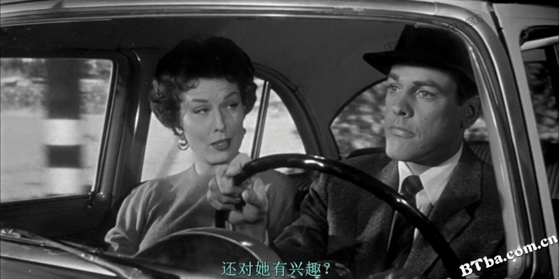 天外魔花/夺尸者入侵(台)/人体异形