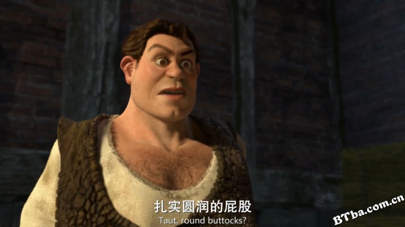 怪物史瑞克2/Shrek 2