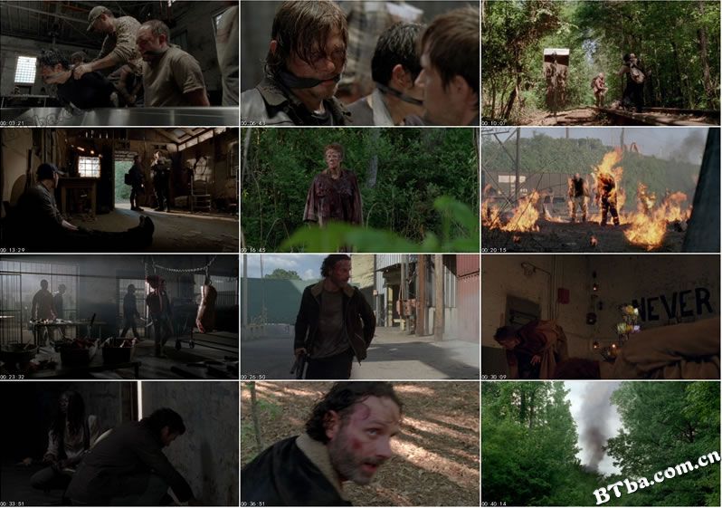 The.Walking.Dead/行尸走肉第五季/阴尸路 第五季(台) The.Walking.Dead/行尸走肉第五季/阴尸路 第五季(台)