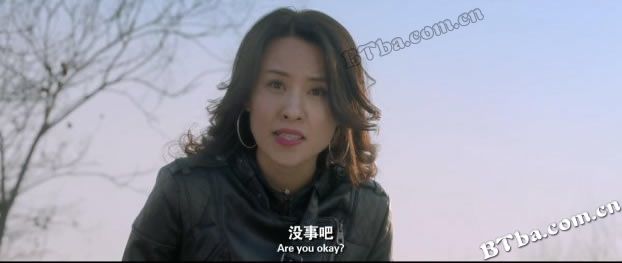 家有虎妻/A Tiger Wife