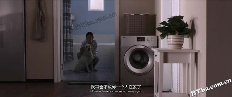 我是证人/盲证/The Witness