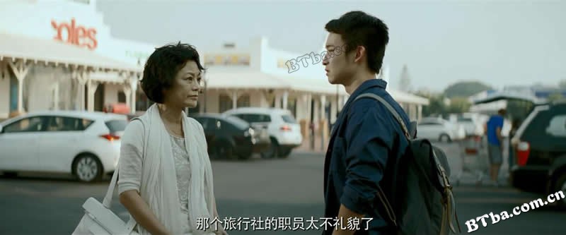 山河故人/山河恋人/Mountains May Depart