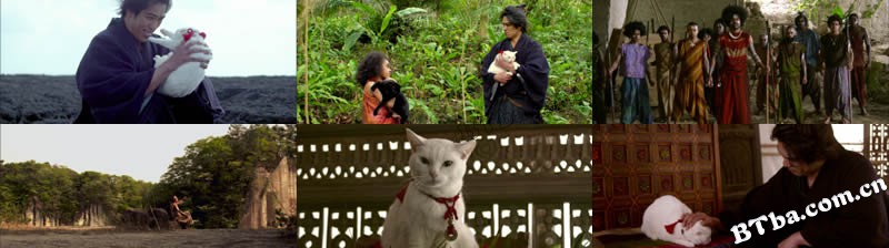 猫侍:前往南之岛/猫侍 剧场版2/猫侍:赴南岛 猫侍:前往南之岛/猫侍 剧场版2/猫侍:赴南岛