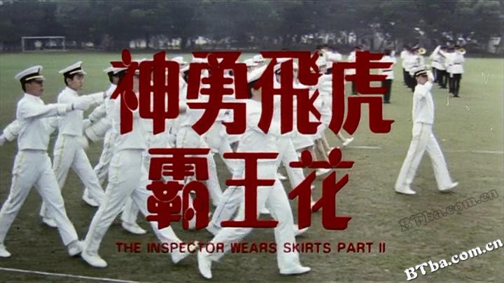 霸王花2之神勇飞虎霸王花/The Inspector Wears Skirts II