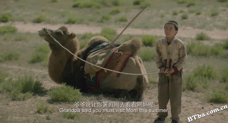 家在水草丰茂的地方/River Road/Where is My Home
