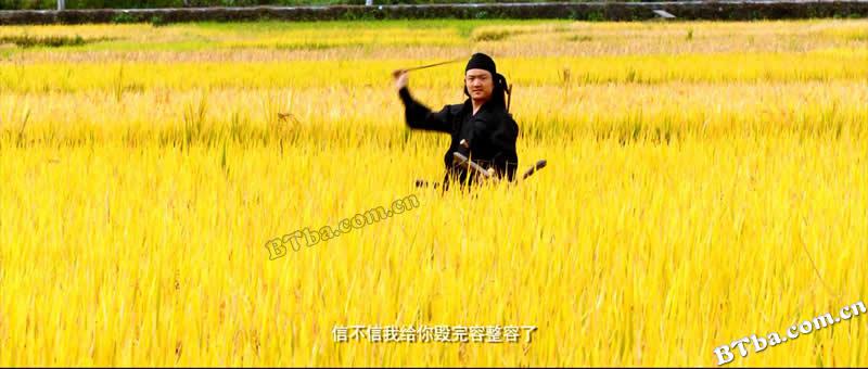 极限挑战之皇家宝藏/极限挑战大电影/极限挑战之圣火令