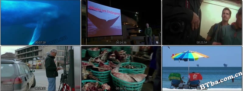 竞相灭绝/Racing Extinction