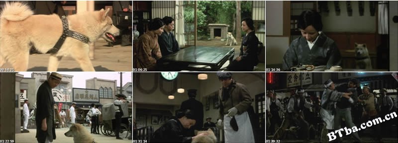 忠犬八公物语/八千公物语/阿八的故事 忠犬八公物语/八千公物语/阿八的故事