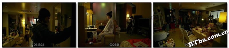 再见歌舞伎町/Kabukicho Love Hotel