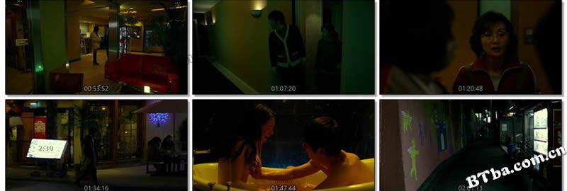 再见歌舞伎町/Kabukicho Love Hotel