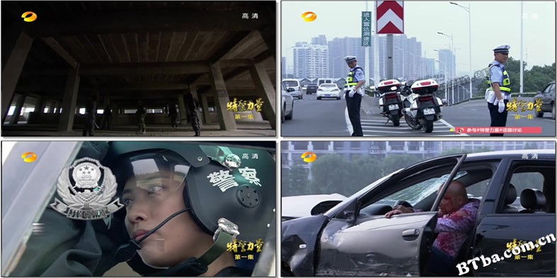 特警力量/SWAT