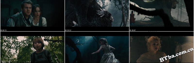 魔法黑森林/拜访森林/走进森林/Into the Woods