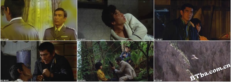 野性的证明/Never Give Up 野性的证明/Never Give Up