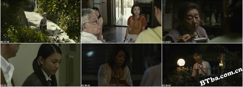 老师与流浪猫/先生と迷い猫/Teacher and Stray Cat 老师与流浪猫/先生と迷い猫/Teacher and Stray Cat