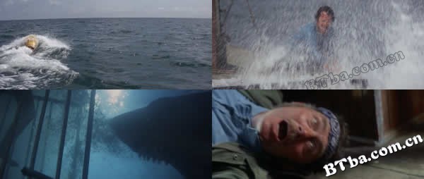 大白鲨/Stillness in the Water/Hajen 大白鲨/Stillness in the Water/Hajen