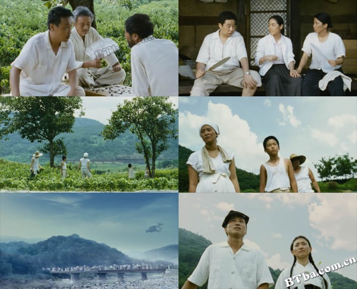 小小莲池/A Little Pond 小小莲池/A Little Pond