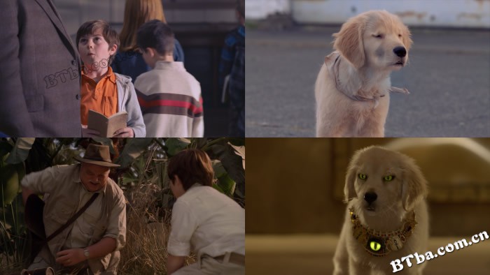 护宝巴迪/珍宝小英雄/护宝狗狗/Treasure Buddies