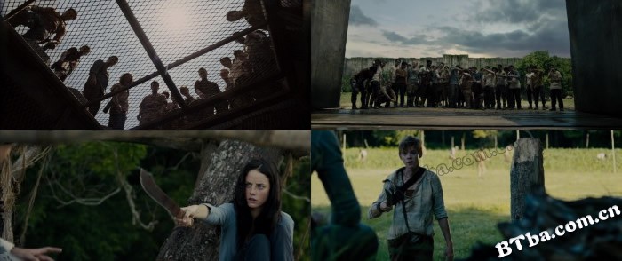 移动迷宫/迷宫行者/The Maze Runner 移动迷宫/迷宫行者/The Maze Runner