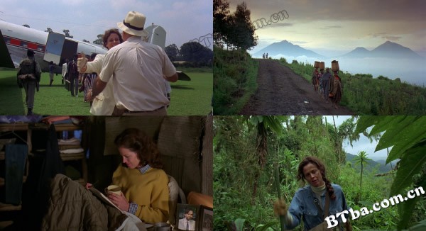 迷雾中的大猩猩/Gorillas in the Mist The Adventure of Dian Fossey 迷雾中的大猩猩/Gorillas in the Mist The Adventure of Dian Fossey