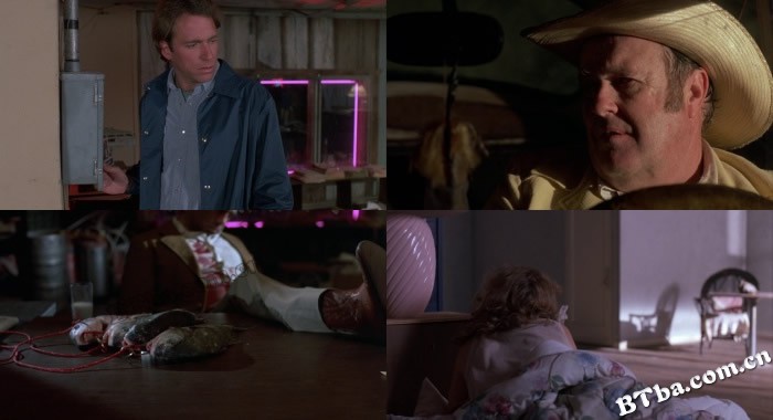血迷宫/血简单/Blood Simple