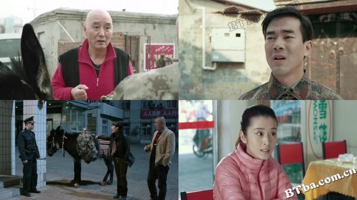 人在驴途/Following the Donkey 人在驴途/Following the Donkey