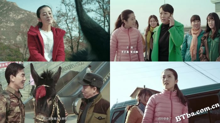 人在驴途/Following the Donkey 人在驴途/Following the Donkey