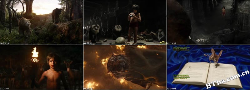 奇幻森林/与森林共舞(台)/丛林之书/森林王子
