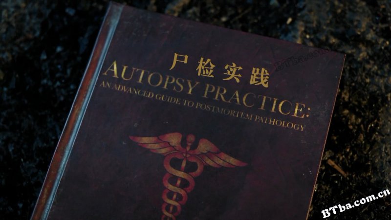 鬼玩人 第二季/鬼玩人之阿什斗鬼