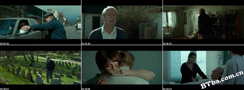 一个叫欧维的男人决定去死/En man som heter Ove 