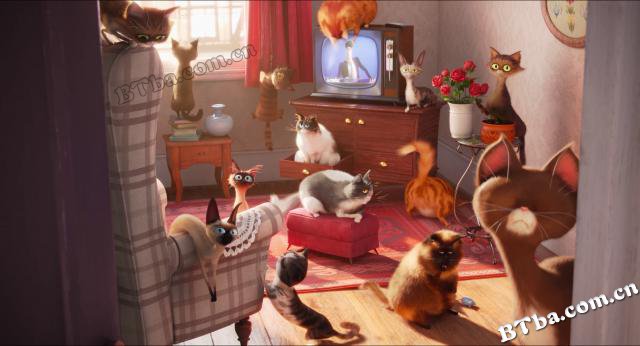 爱宠大机密/The Secret Life of Pets