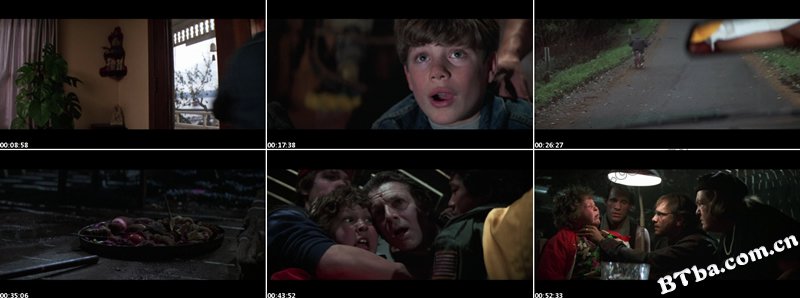 七宝奇谋/The Goonies