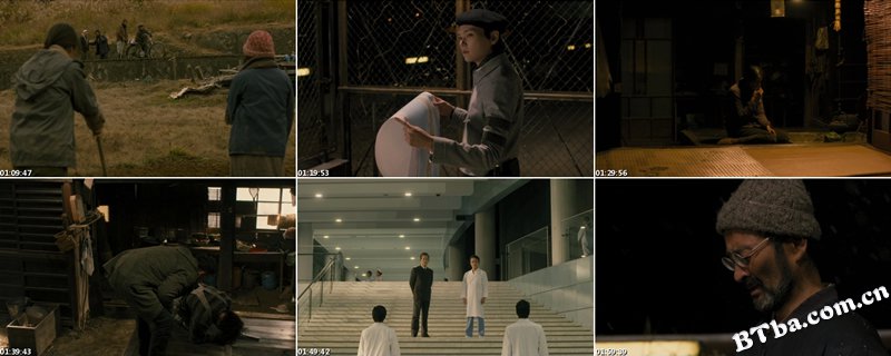 太阳/太陽/The Sun