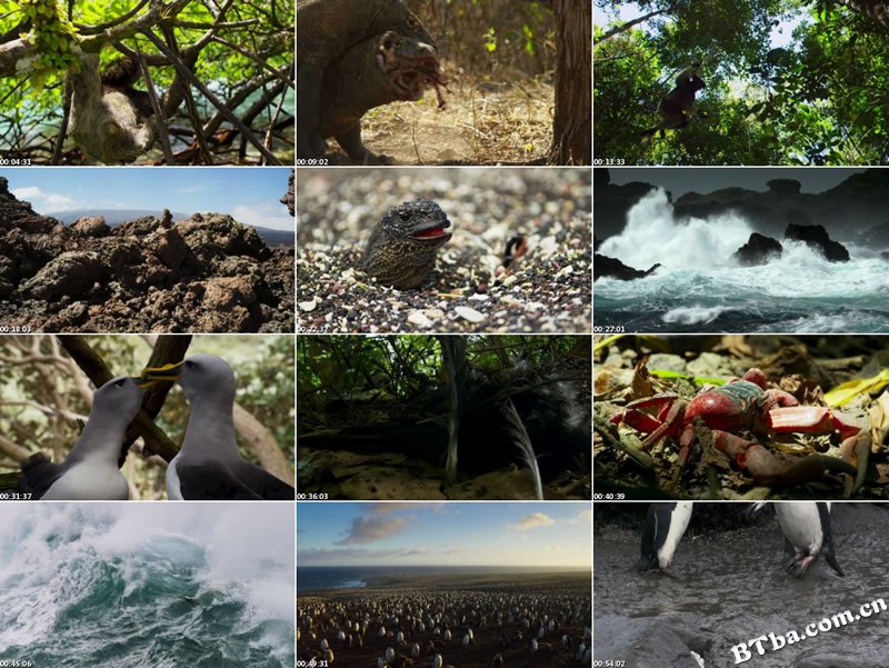 地球脉动 第二季/Planet Earth Season 2