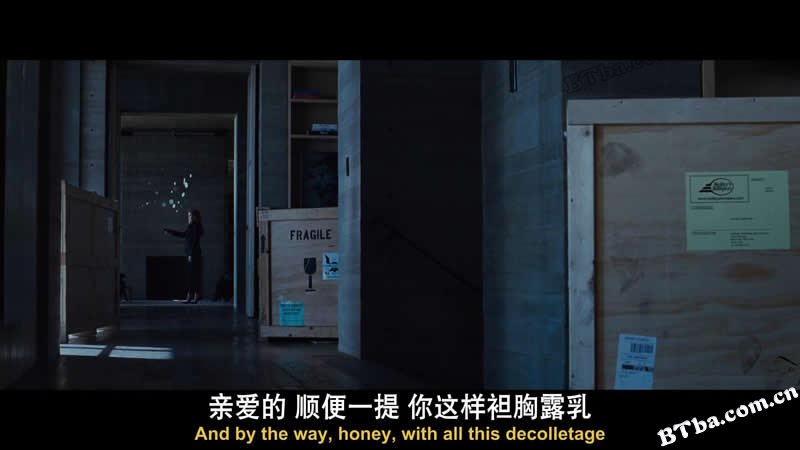 夜行动物/Nocturnal Animals 夜行动物/Nocturnal Animals