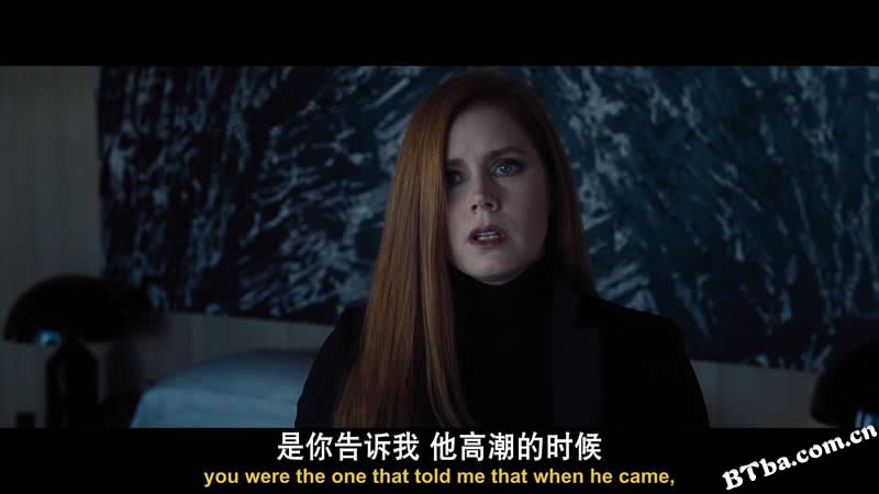 夜行动物/Nocturnal Animals 夜行动物/Nocturnal Animals